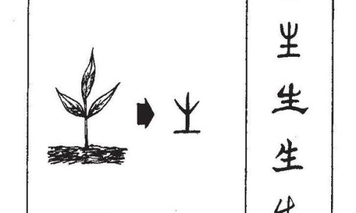 蜂房中药图片大全集-蜂房中药图片大全网 :分享蜂房中药图片大全高清-蜂房中药图片大全集知识