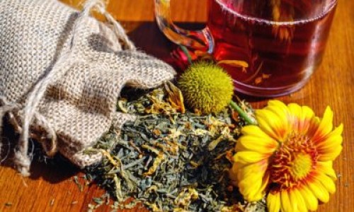蜂房中药别名叫什么-蜂房中药图片大全网 :分享蜂房中药图片大全高清-蜂房中药图片大全集知识